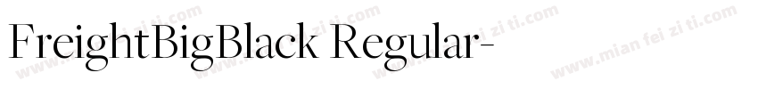 FreightBigBlack Regular字体转换